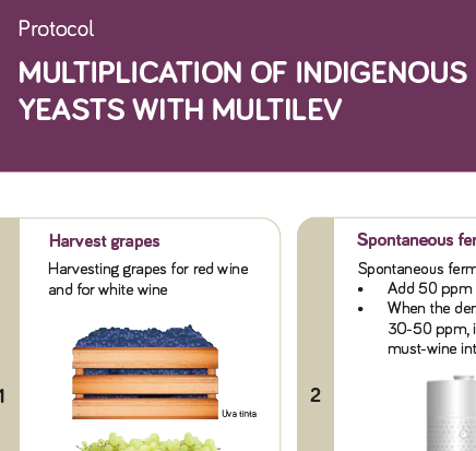 datasheet-LEV2050-native-yeast-prop