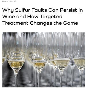 why sulfur faults persist in wine